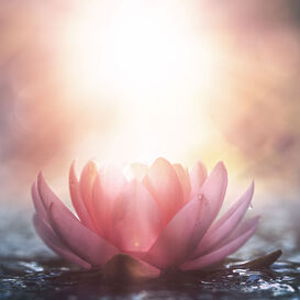 Meditation © Adobe Stock